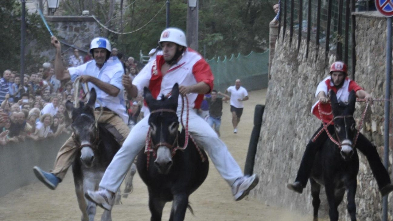 Si apre la settimana del 67° Palio dei Ciuchi a Campagnatico, con eventi culturali e tradizionali fino alla gara finale tra le contrade.