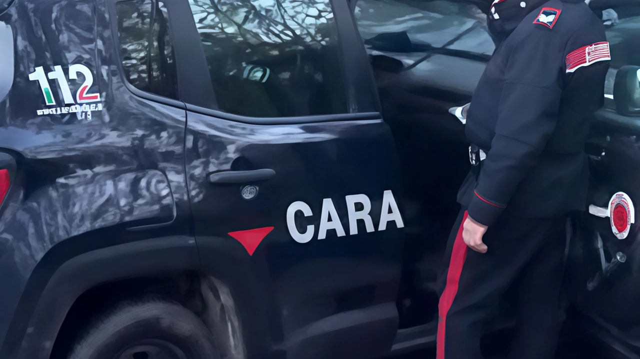 Truffe, una piaga da debellare. Carabinieri domani in cattedra al circolo di Castellina Scalo