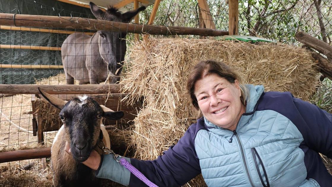 L’assalto degli animali. Due caprette trovate sbranate: “Le avevo da 20 anni, forse lupi”