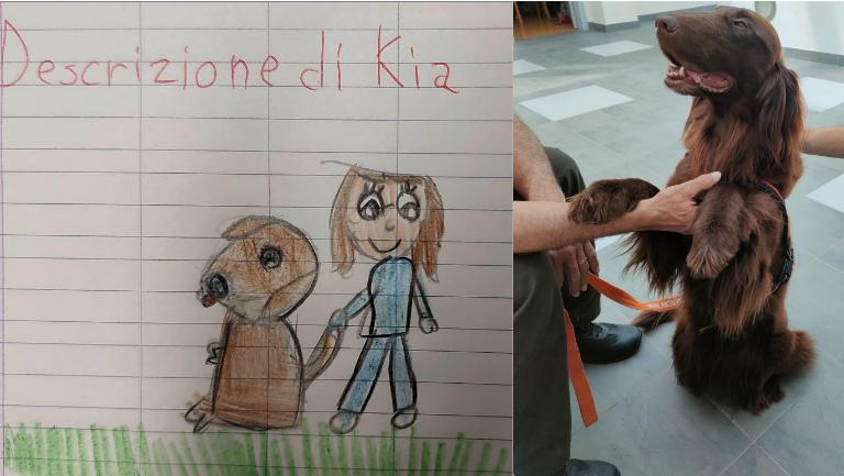 Al Meyer la grande amicizia tra la piccola Zoe e la cagnolina Kia che ogni giorno fa visita alla bimba ricoverata