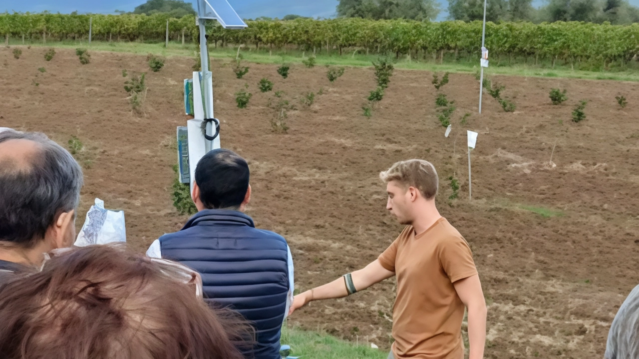 Incontro sull'irrigazione di precisione e concimazione per ottimizzare produzioni agricole. Noccioleto sperimentale a Cortona con impianto moderno.