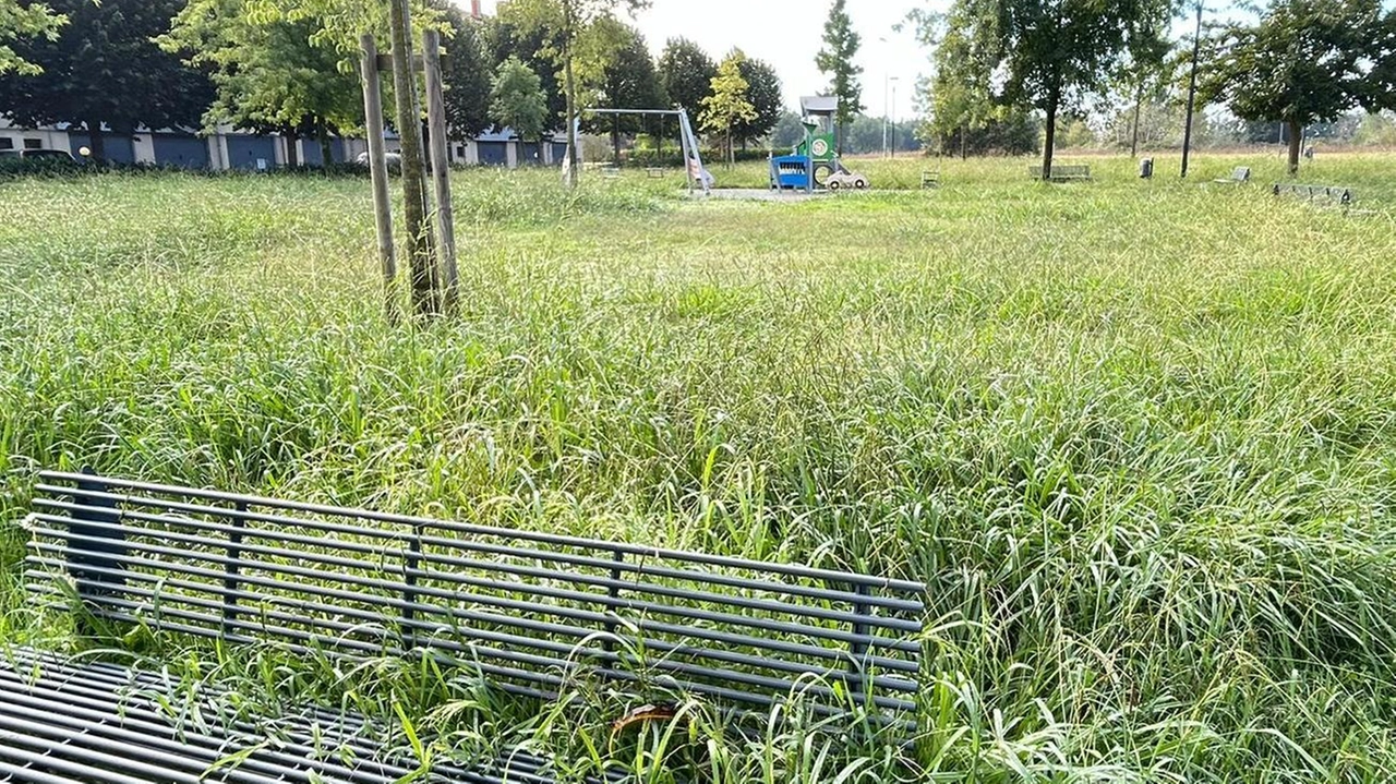 Il consigliere Valerio Biagini denuncia lo stato di abbandono del parco Carlo Alberto Dalla Chiesa a Spianate, con erba alta che mette a rischio la sicurezza dei bambini. Chiede interventi urgenti da parte dell'amministrazione comunale.