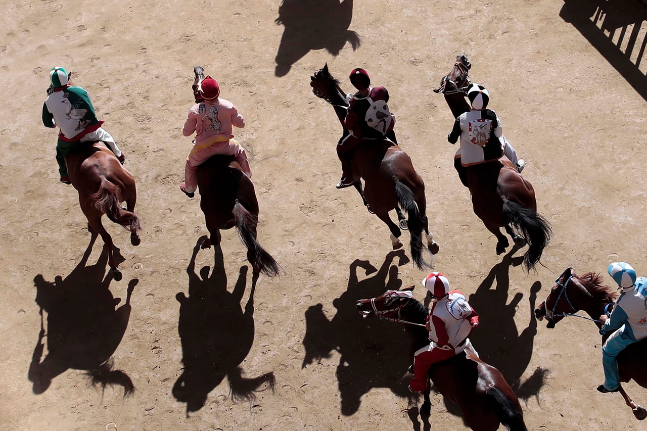 Un momento della Provaccia al Palio di Siena. E' l'ultima prima della carriera vera e propria (Foto Lazzeroni)