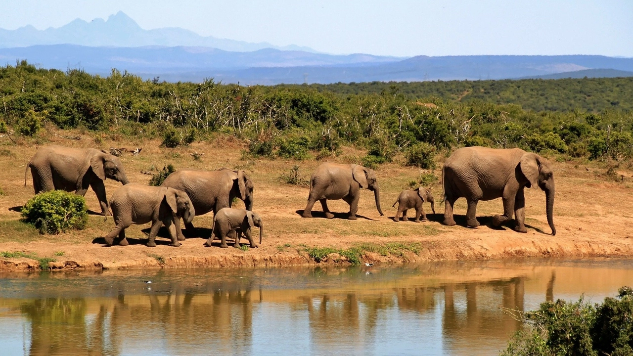 A Firenze la mostra sull'Africa