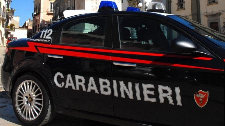 L'operazione dei carabinieri (Foto Ansa)