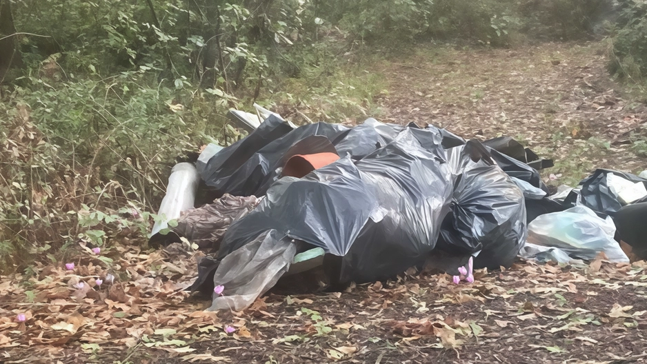 Post dopo post sui social sono segnalate criticità ed emergenze in tante zone del territorio. Nei giorni scorsi un gruppo di fungaioli si è rimboccato le maniche per contrastare il degrado. .