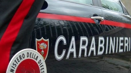 La donna ha sporto denuncia ai carabinieri