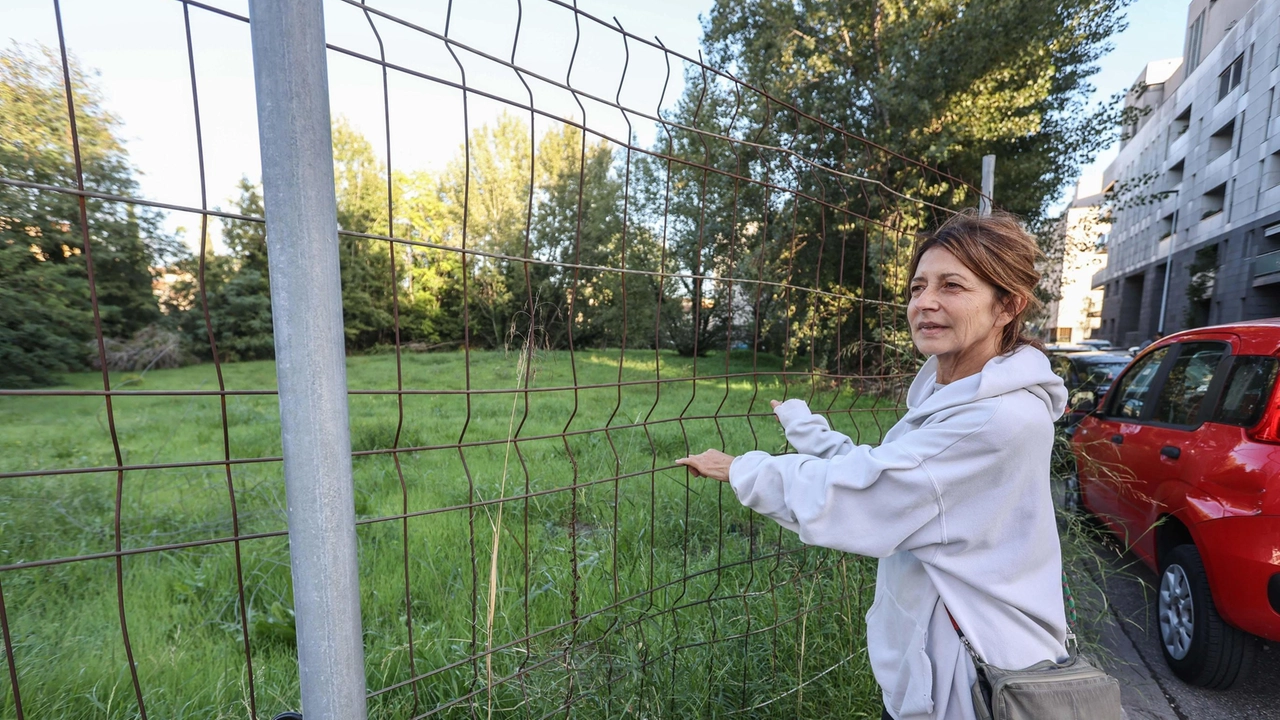 L’area in stato di abbandono tra via Michelucci e via Bausi che verrà espropriata per farne un parco