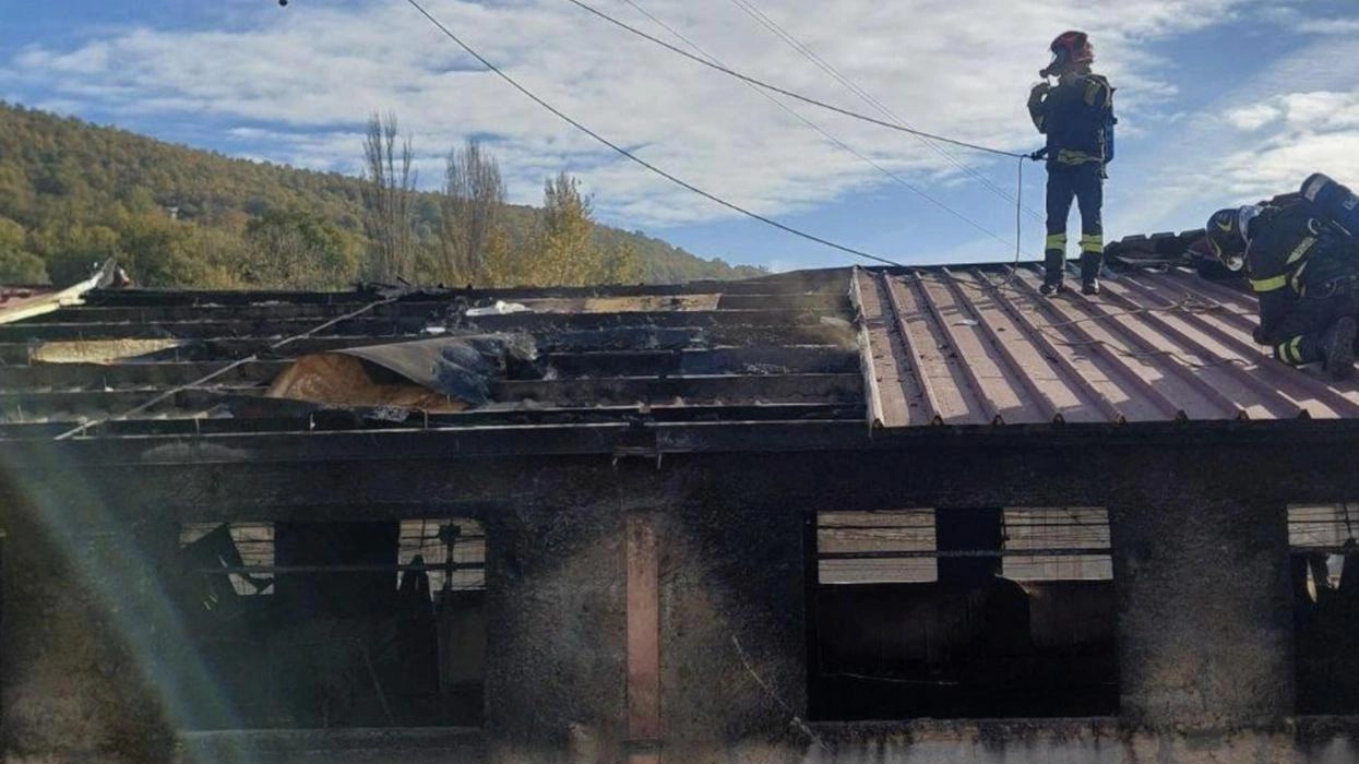 Incendio in un’azienda agricola. Strage di animali nel capannone