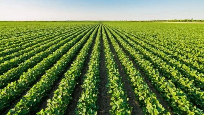 La posizione di Confagricoltura Toscana