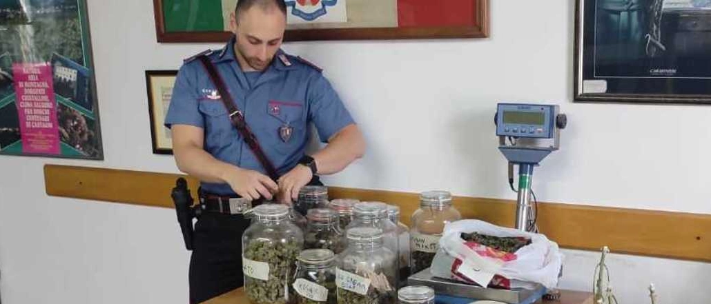 I carabinieri hanno sequestrato due piante della sostanza stupefacente, oltre a vasi e sacchetti pieni, con la merce già pronta ad essere venduta