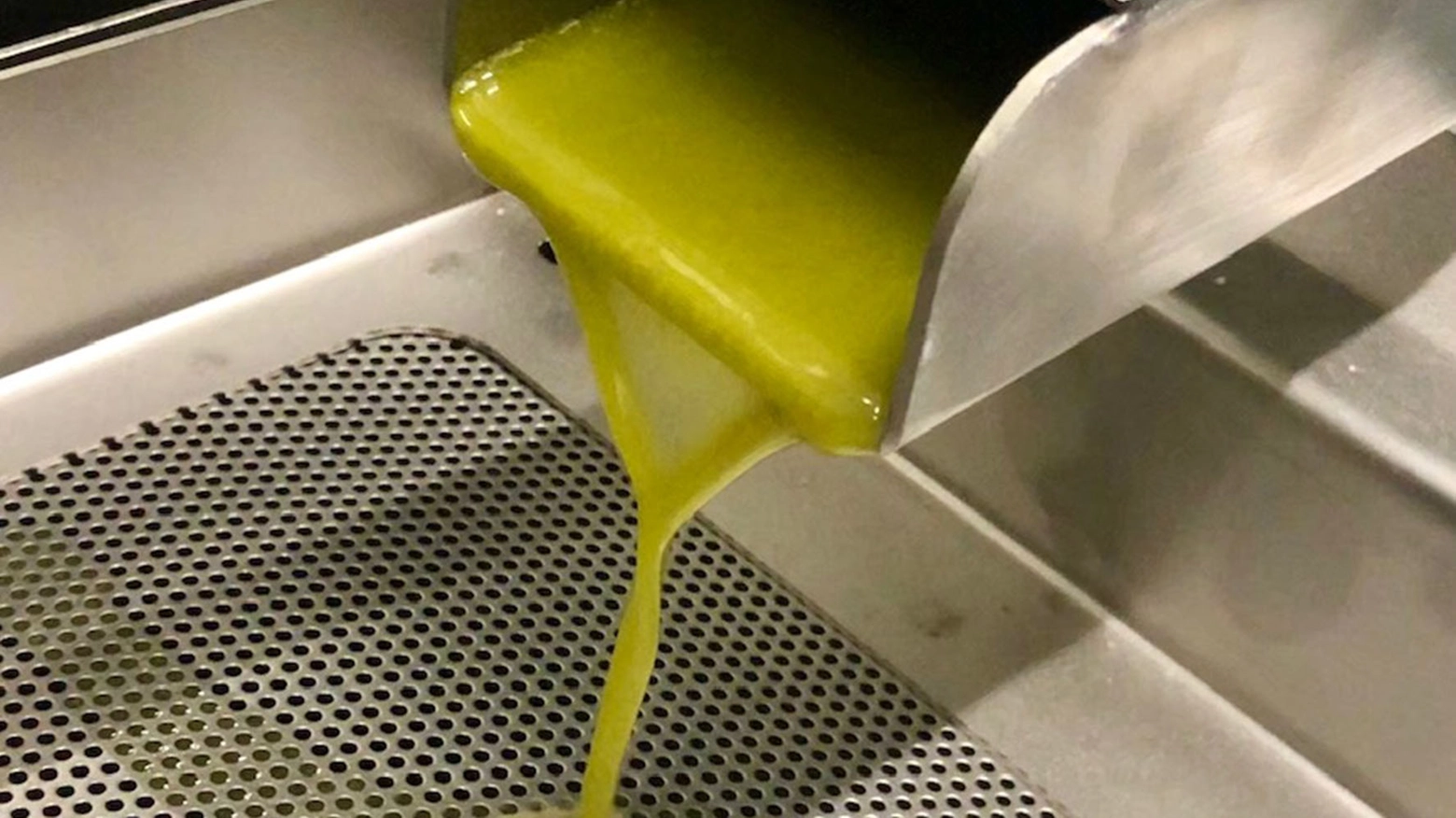 olio