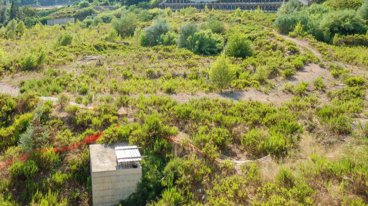 All’assessore regionale, nominato per il terzo mandato consecutivo, anche l’Edilizia ospedaliera. "Al lavoro per salvaguardare il settore crocieristico. Curva Piscina coperta? Discorso aperto con i Platek".