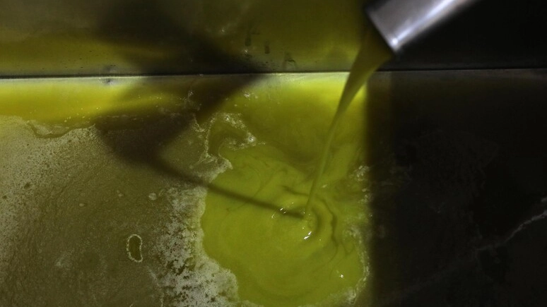 Olio al frantoio (Foto Ansa)