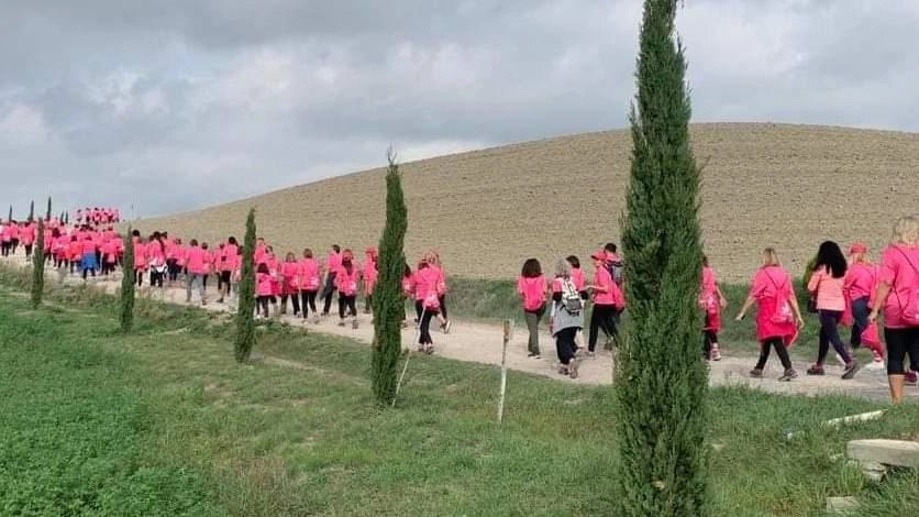 Domenica in cammino con la Pink parade. Cinque chilometri sulla Francigena