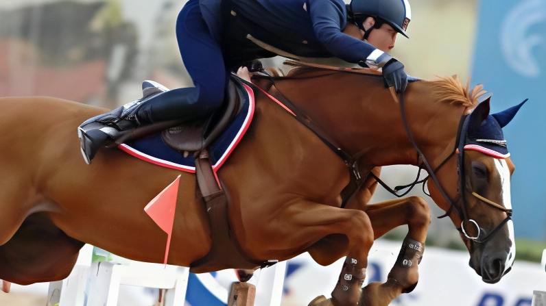 Il salto ostacoli sarà al centro delle gare in programma all’Arezzo Equestrian Centre questo fine settimana