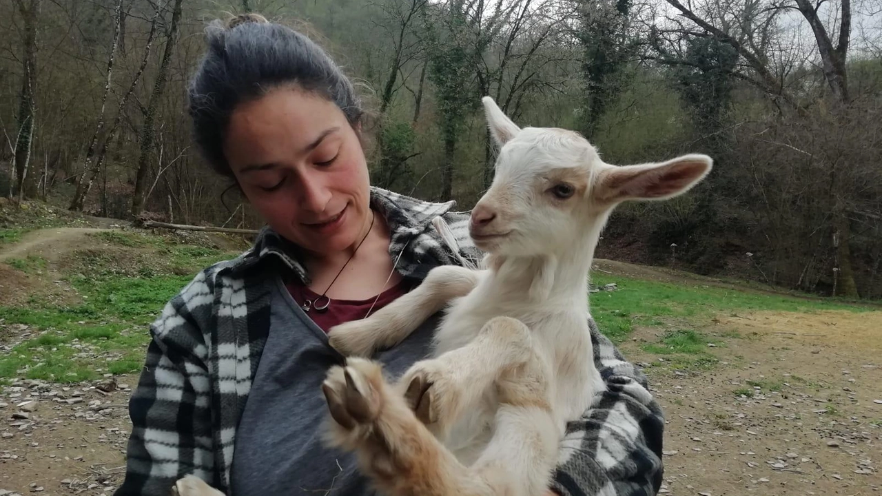 Allegra Adani oggi residente in Casentino. Trentaseienne, dopo aver lasciato il suo lavoro sicuro, ha iniziato a fare tanta esperienza lavorando in un’azienda poi è entrata nella scuola pastori e adesso collabora in un’azienda