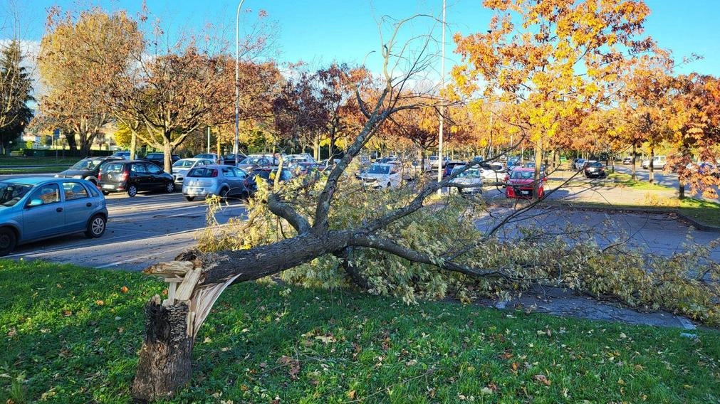 Tanti disagi anche in città . Scoperchiata una scuola