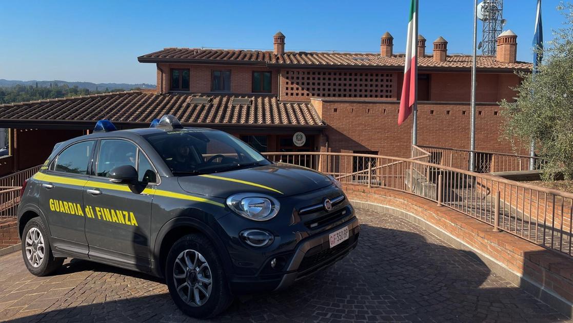 Guardia di Finanza di Pisa: spacciatore arrestato nel bosco delle Cerbaie