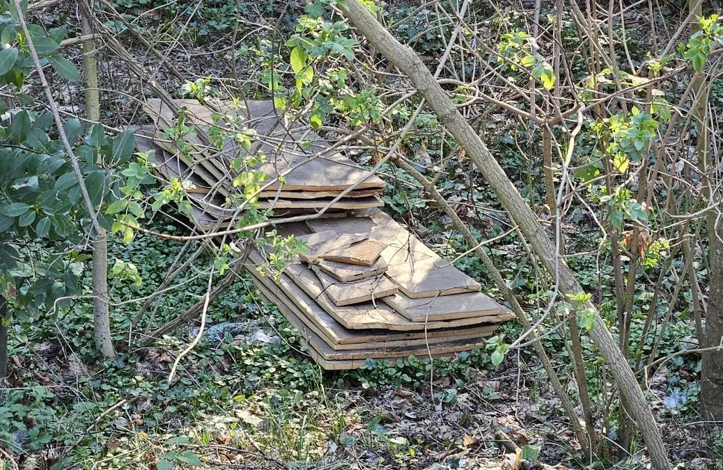 Viale della Rimembranza. Discarica di tavole di legno