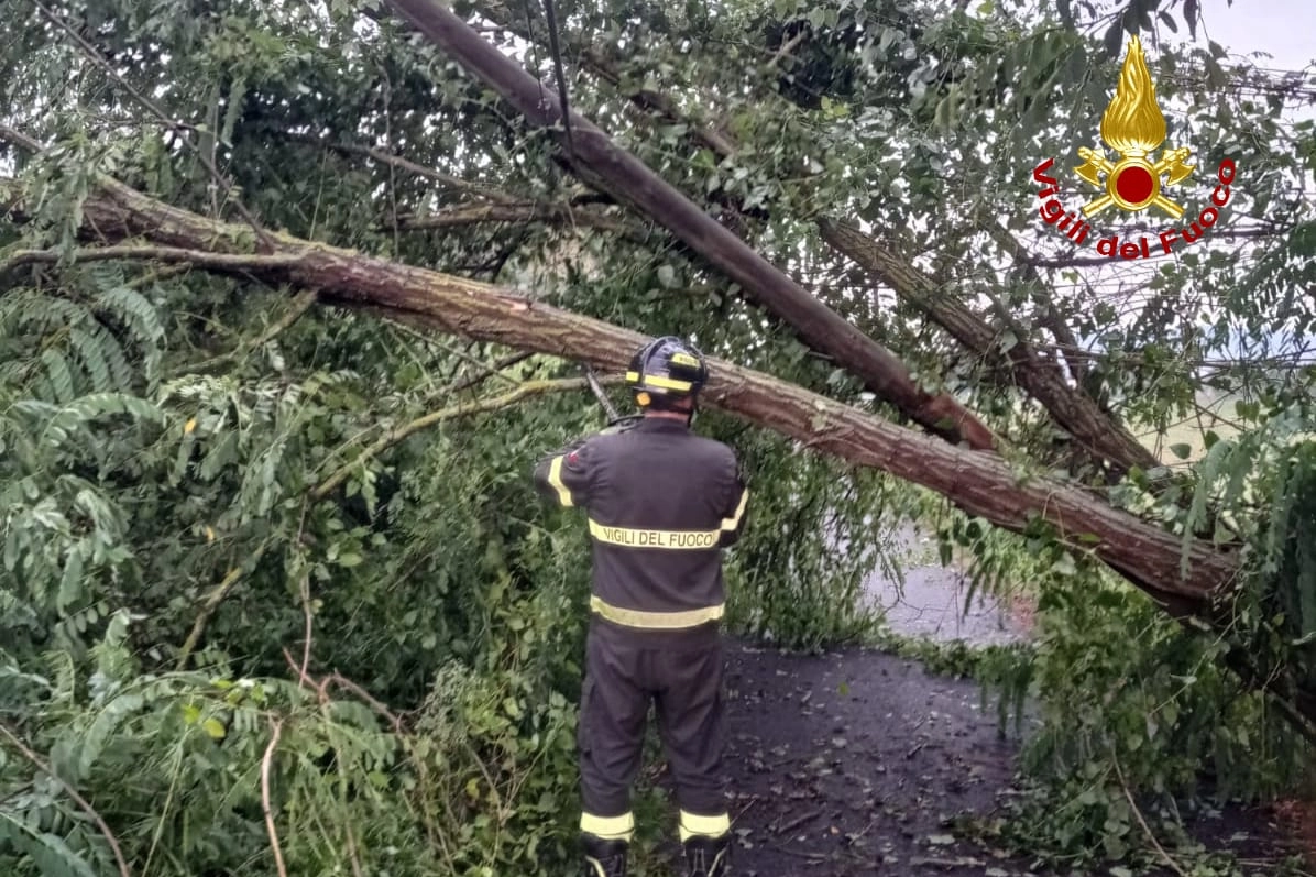 L'intervento dei vigili del fuoco per alberi caduti nella provincia di Pisa