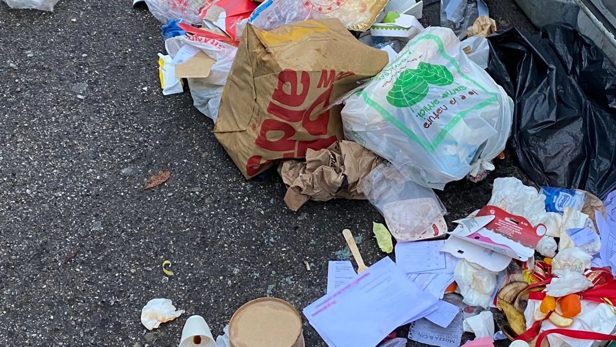 Rifiuti abbandonati in via del Curtatone