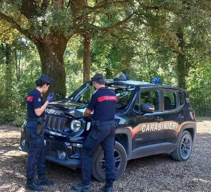 Piromane dà fuoco al bosco. Il Comune è parte civile