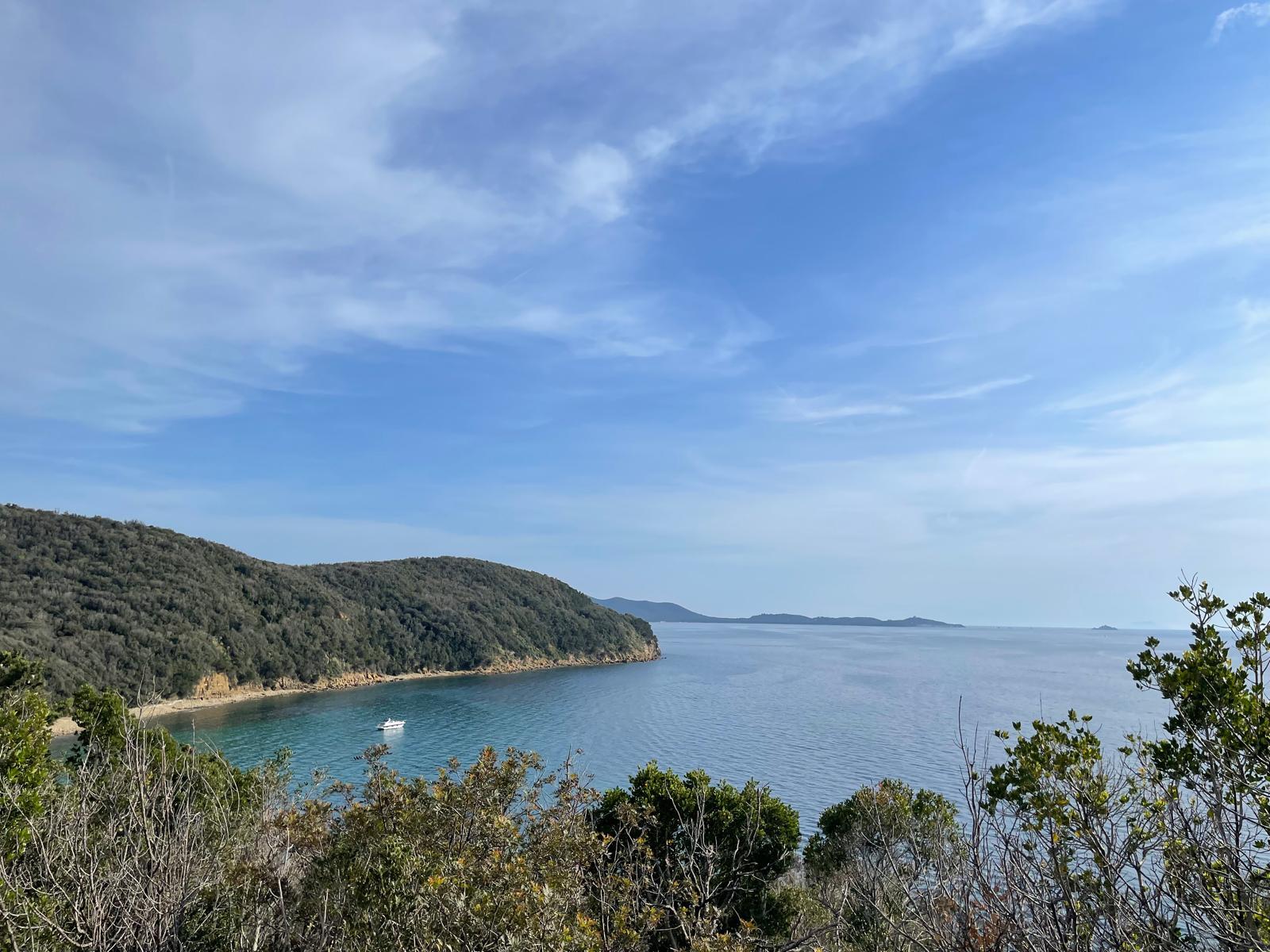 Spiaggia di Cala Violina: in estate numero chiuso e prenotazione obbligatoria