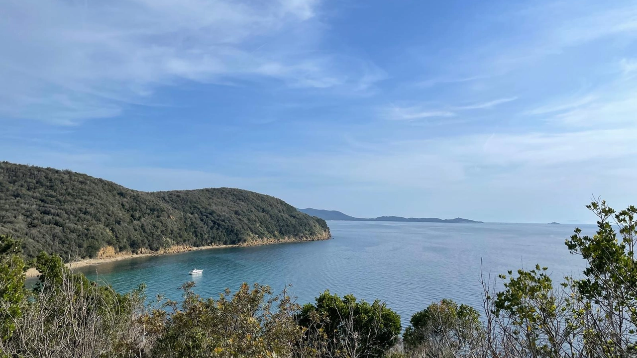 Il panorama dal sentiero che si snoda tra Scarlino e Cala Violina. Una passeggiata vicino al mare in un bel contesto naturalistico