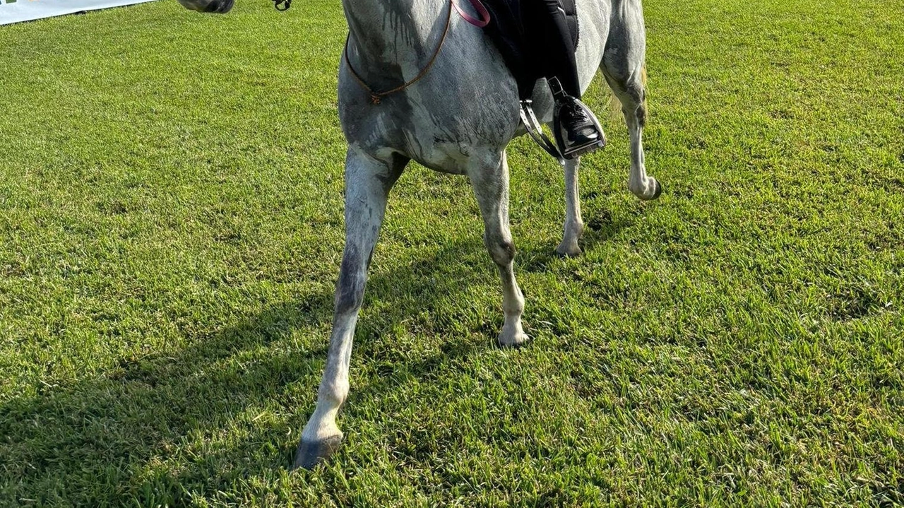 La giovane amazzone eugubina Maria Chiara Fagiani ha contribuito alla medaglia di bronzo della nazionale italiana di Endurance equestre al campionato europeo, nonostante l'eliminazione per un problema alla sua cavalla. Una delusione personale mitigata dal successo collettivo e dalla prospettiva di essere tra le migliori al mondo.