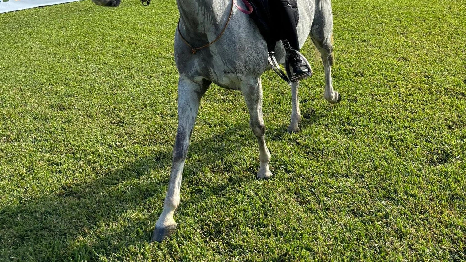 Maria Chiara Fagiani, bronzo ’azzurro’ nell’endurance equestre