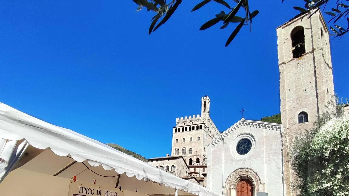 La Mostra Mercato è già  sold out. Il Tartufo Bianco richiama una folla