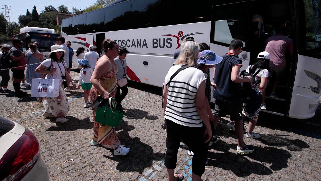 Bus turistici da Lanazione