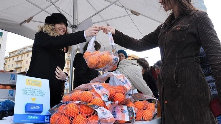 Torna in città, a Forte dei Marmi e a Pietrasanta la piazza con le arance