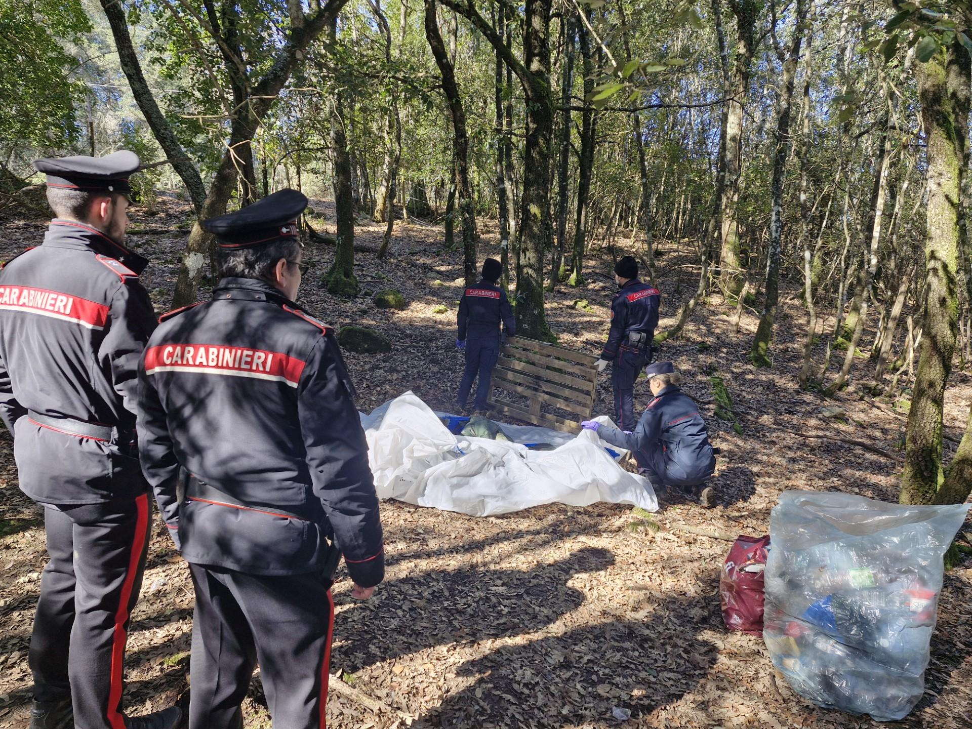 Scoperto e smantellato un bivacco di spacciatori nei boschi di Monticiano