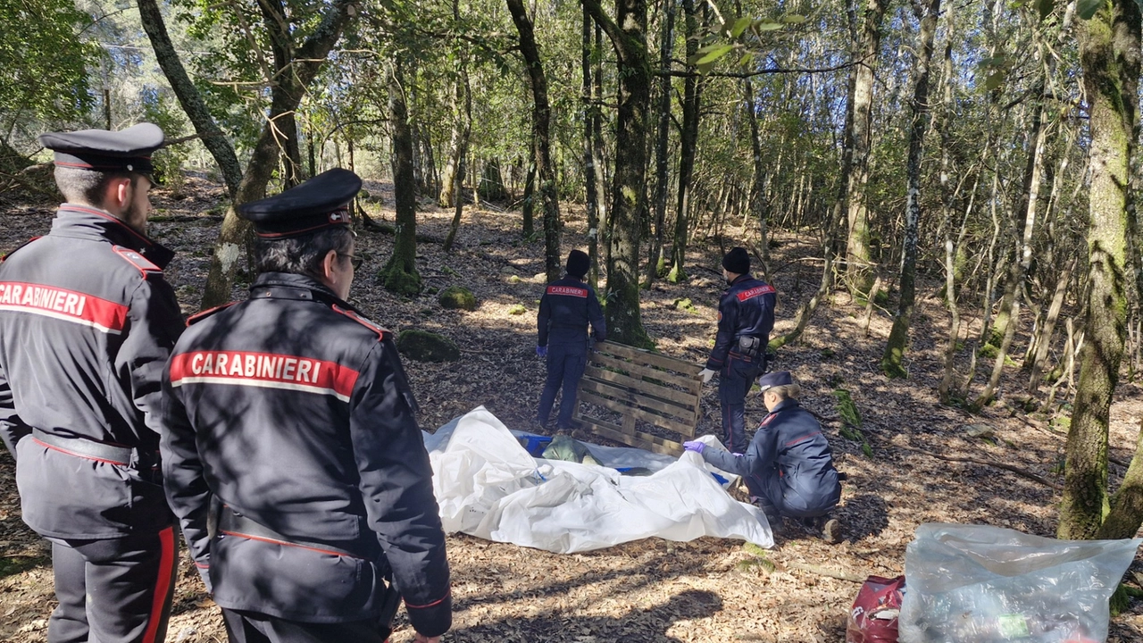 L'operazione dei carabinieri