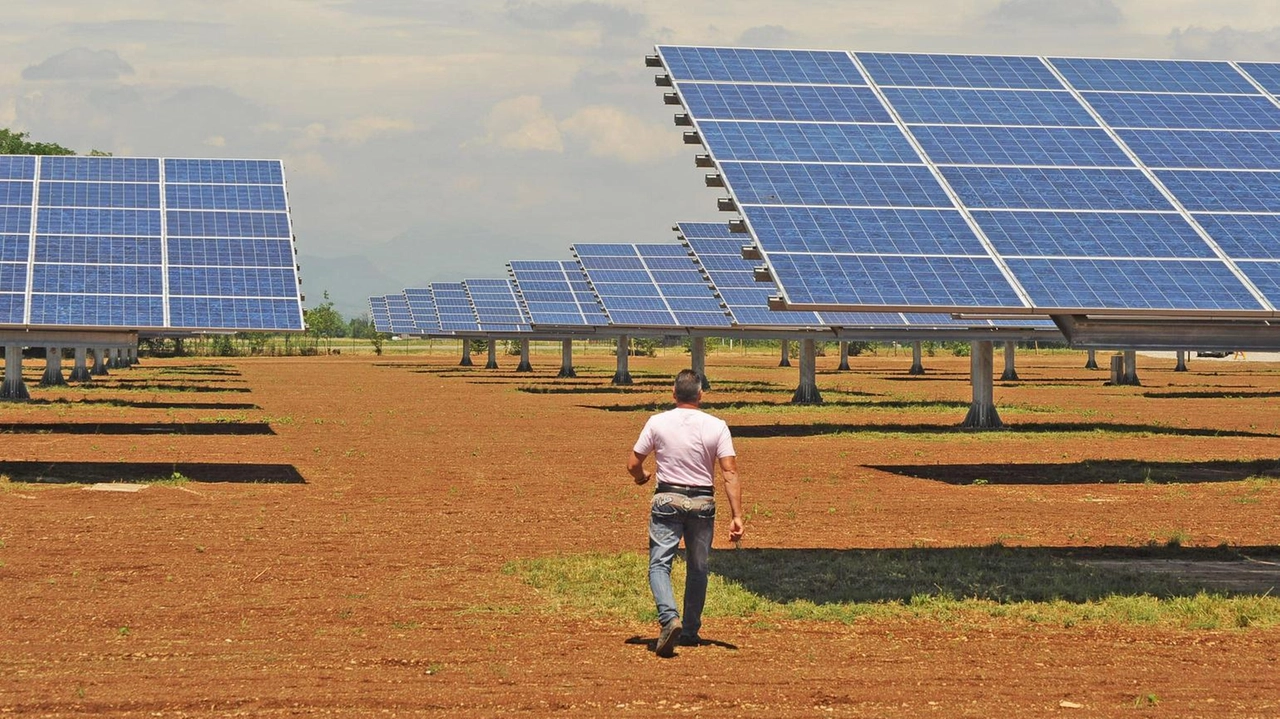 Il Pd parla di impatto devastante sulla campagna. Perchè il campo fotovoltaico al centro di polemiche avrà delle dimensioni immense...