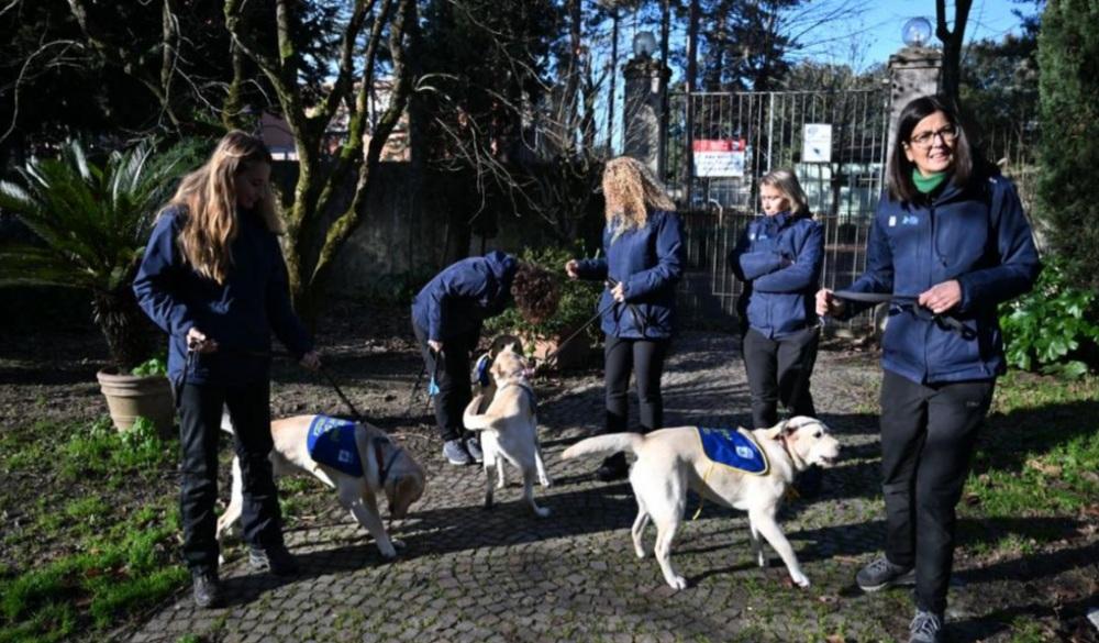 Diabete, ecco i cani che ‘fiutano’ le crisi glicemiche