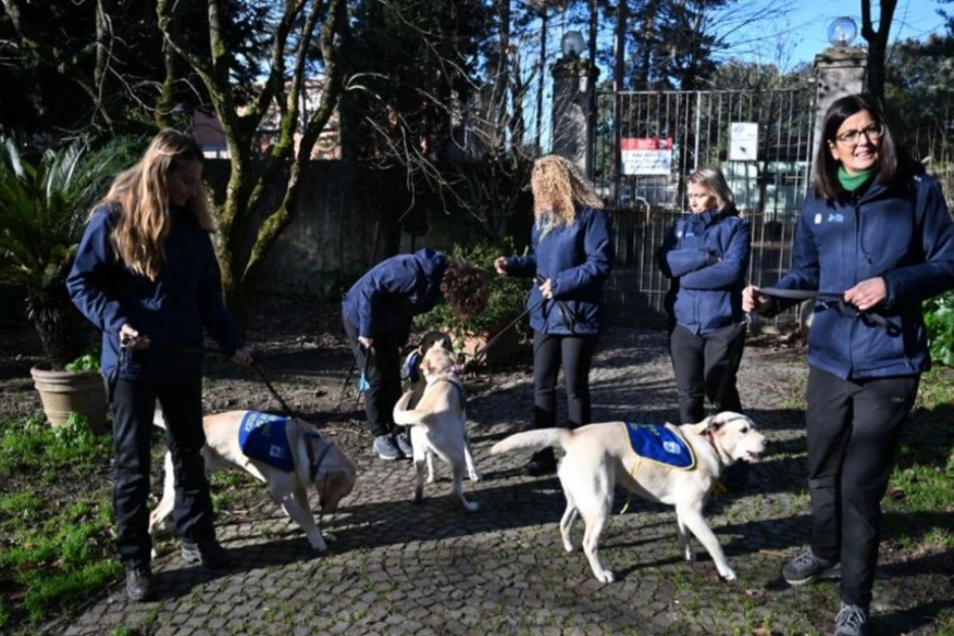 Scandicci, cinque cani che ‘fiutano’ crisi glicemiche conoscono le future famiglie