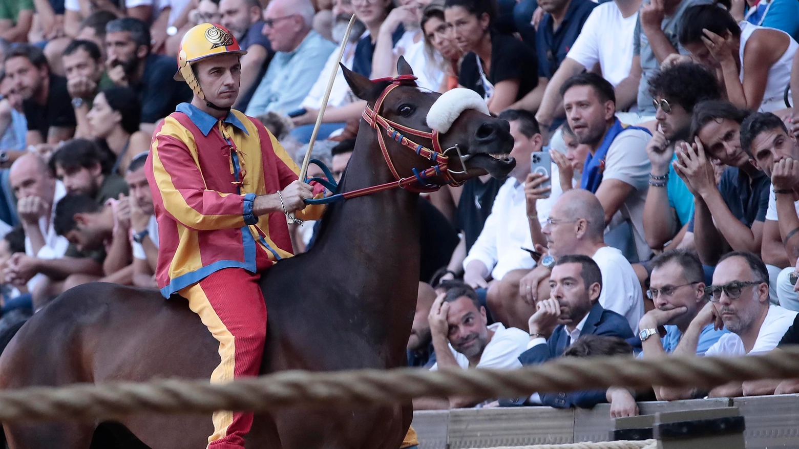 Il capitano di San Marco dà pieni voti anche a Comancio, cavallo debuttante dalle buone qualità. “Cosa cambia con la vittoria di Velluto? Non credo in grossi ribaltoni, Dino nel 2025 sarà nel giro”