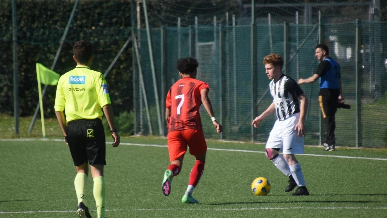 Le zebrette hanno pareggiato 3-3 ieri al debutto nella Viareggio Cup