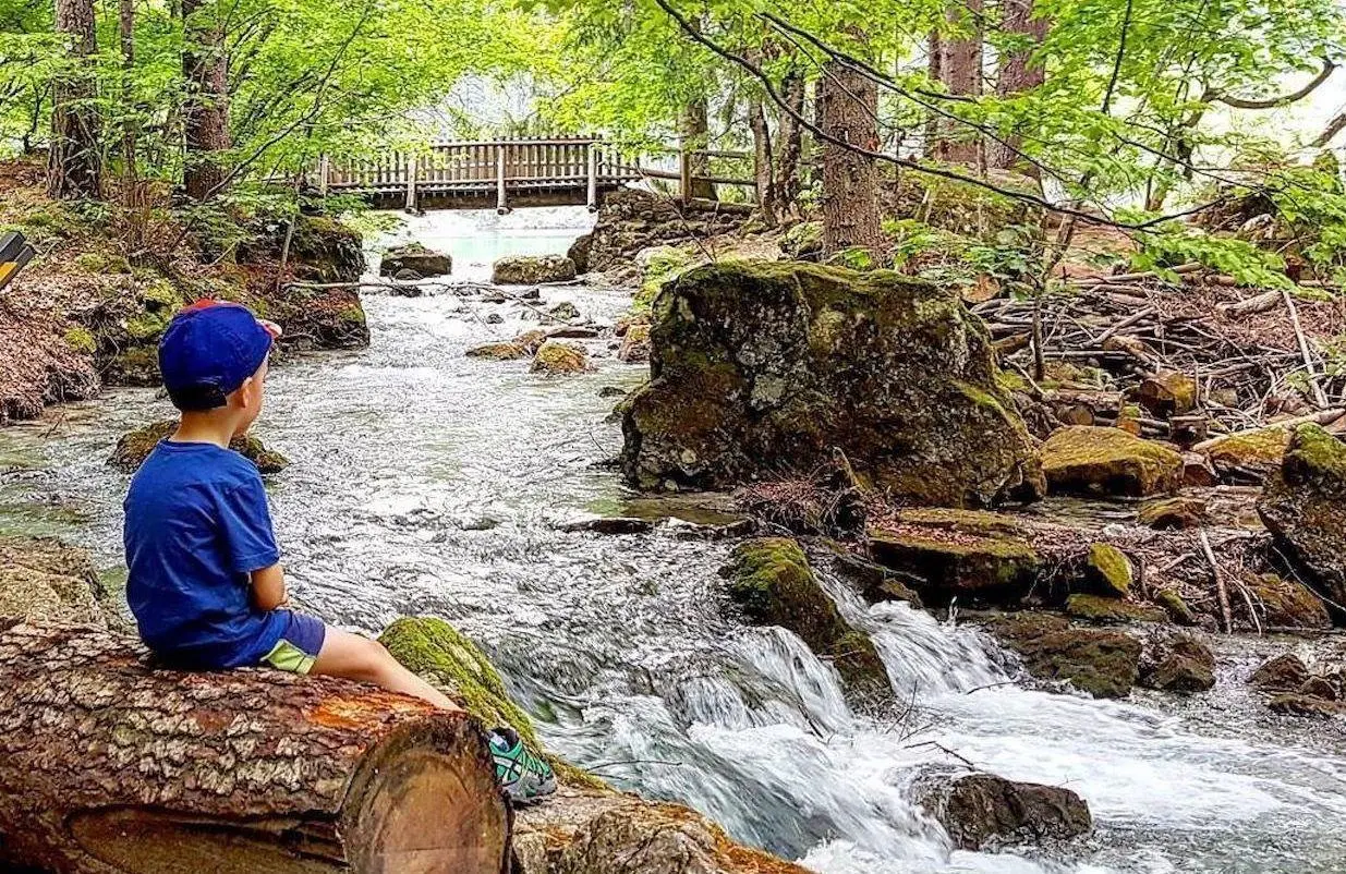 Tutelare l’ambiente, il piano per custodire l’acqua. Il progetto di un’azienda coinvolge le scuole