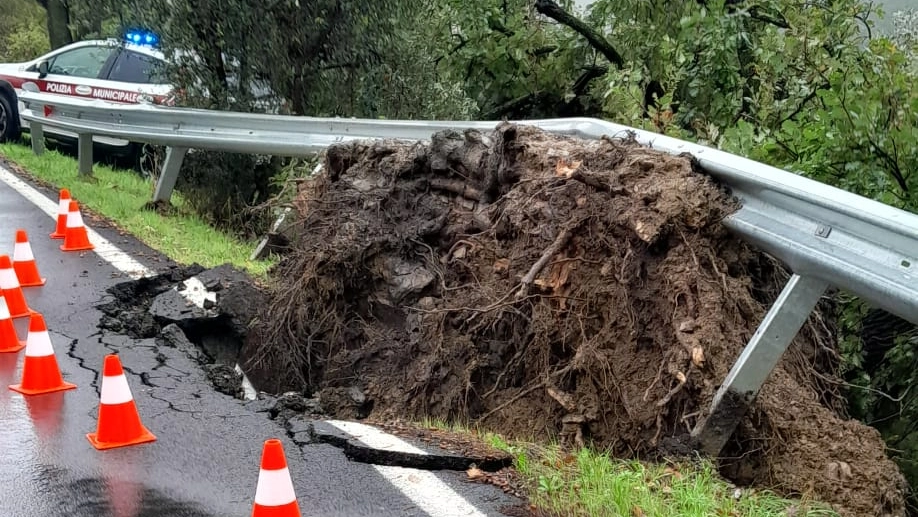 I danni del maltempo a Prato