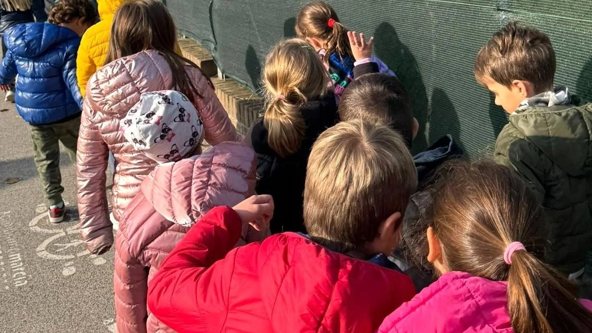 "Troppi scioperi alla scuola Guicciardini". La replica del consiglio studentesco