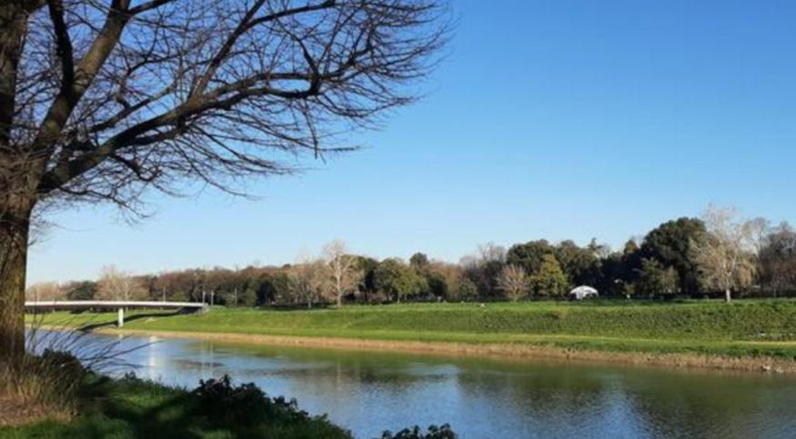 Firenze, passeggiata alle Cascine coi ricercatori per conoscere alberi e piante