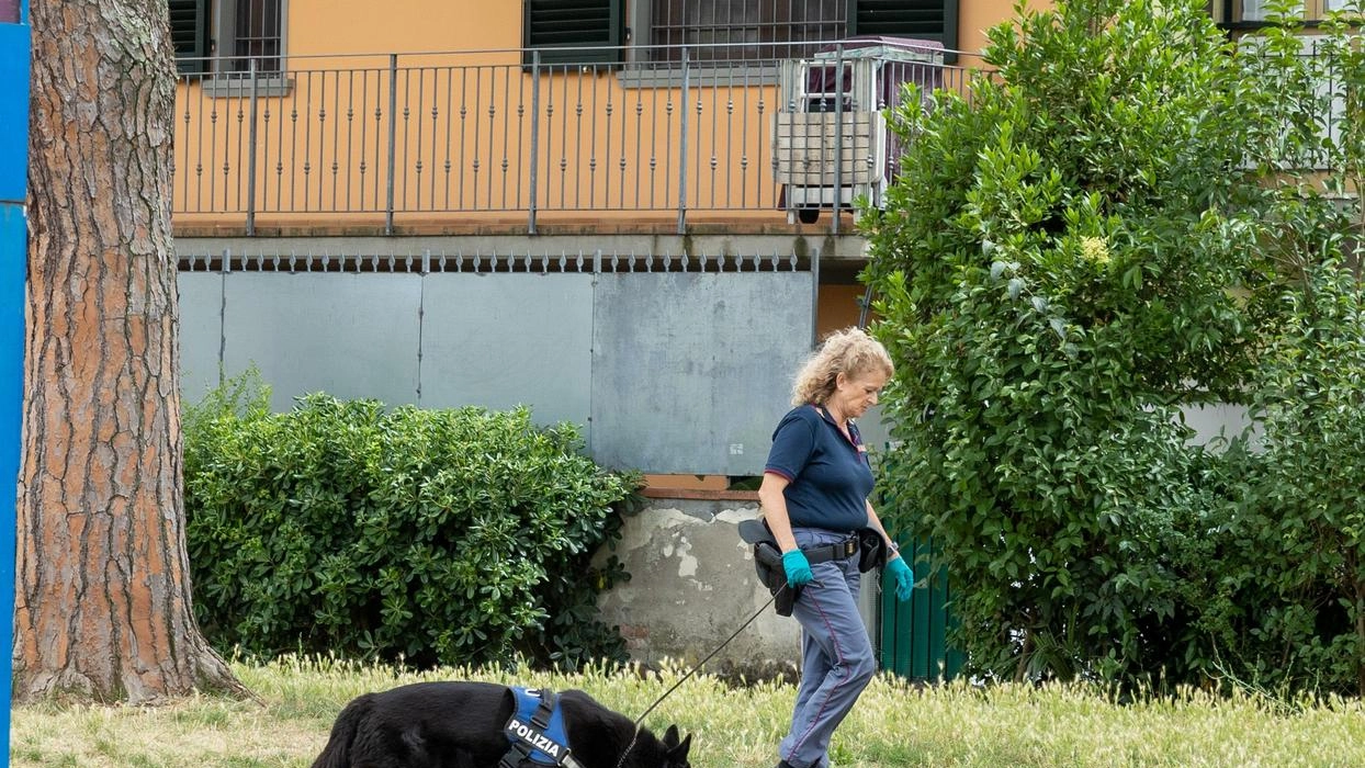 I vandali in piazza. Estirpate le piante