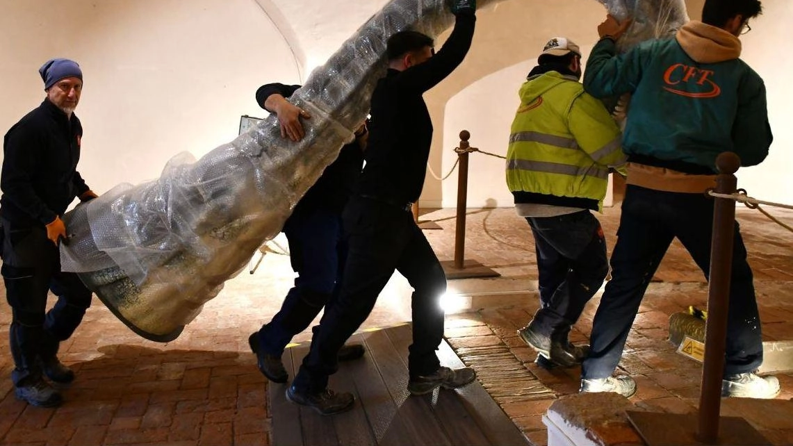 Due momenti dell’allestimento della nuova mostra che durerà un anno preciso al Museo di Storia Naturale di Calci