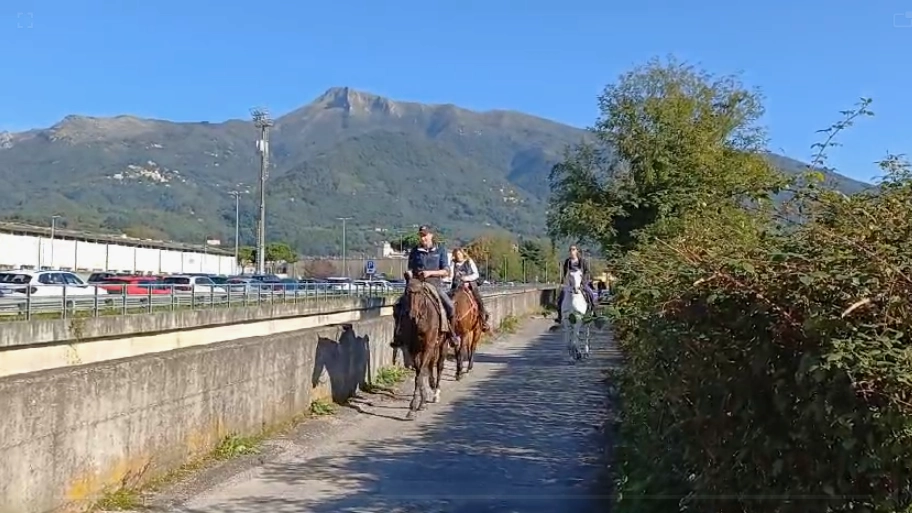 Il sole nel giorno dei Morti accontenta esercenti e visitatori. Il nodo del traffico