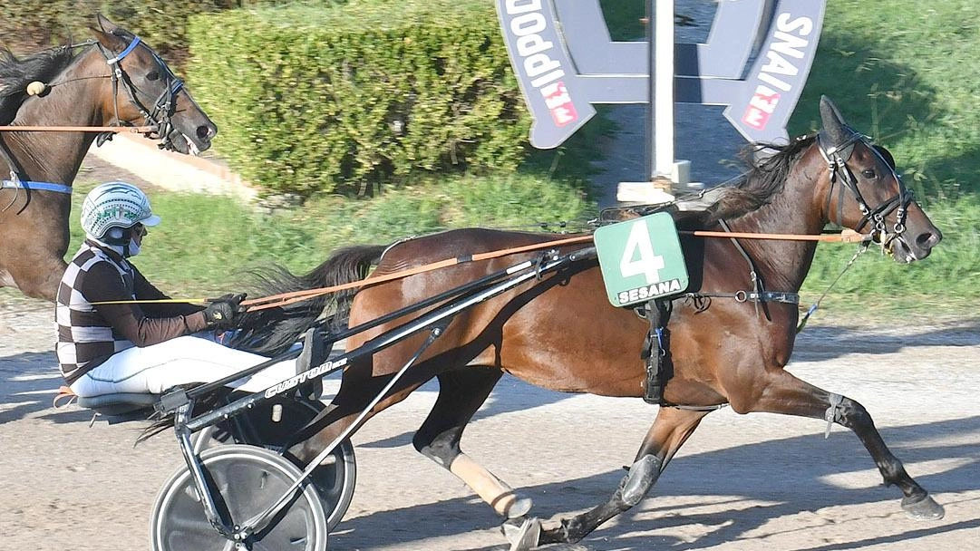 Le corse all’Ippodromo Sesana. Il programma del trotter termale