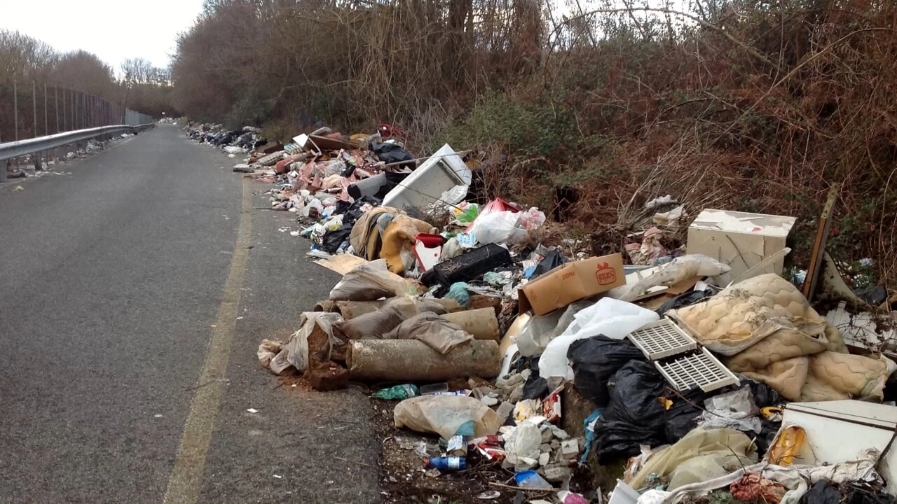 Rifiuti abbandonati in strada